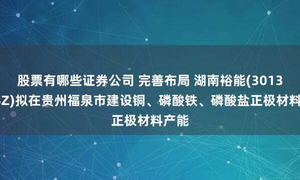 股票有哪些证券公司 完善布局 湖南裕能(301358.SZ)拟在贵州福泉市建设铜、磷酸铁、磷酸盐正极材料产能