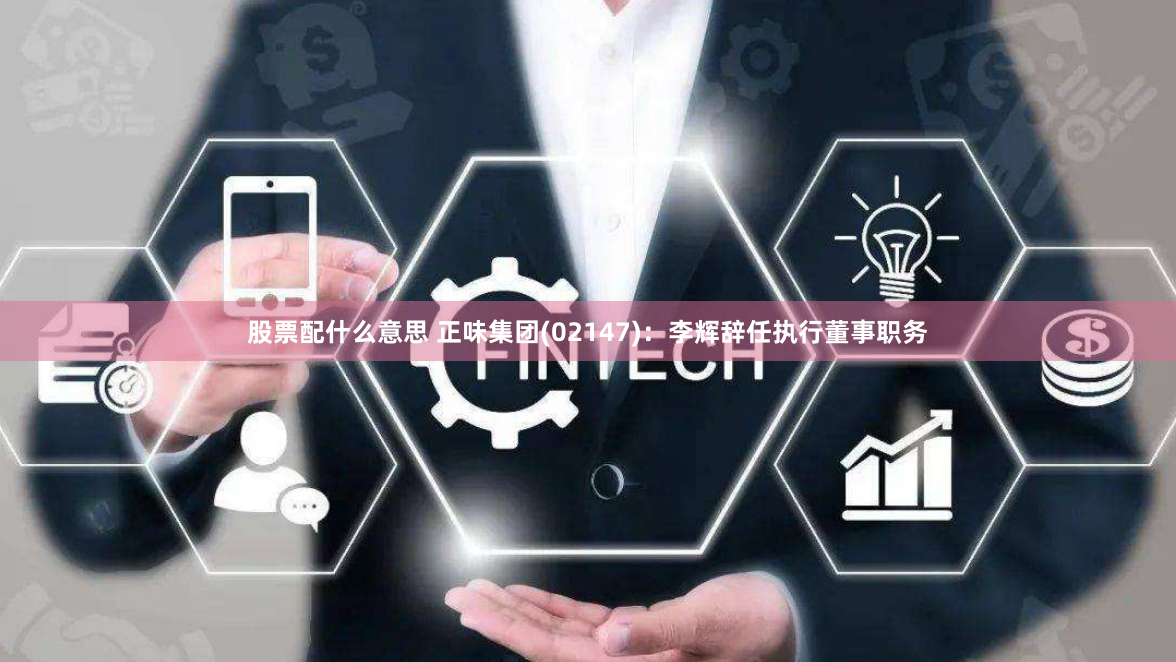 股票配什么意思 正味集团(02147)：李辉辞任执行董事职务