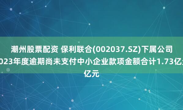 潮州股票配资 保利联合(002037.SZ)下属公司2023年度逾期尚未支付中小企业款项金额合计1.73亿元