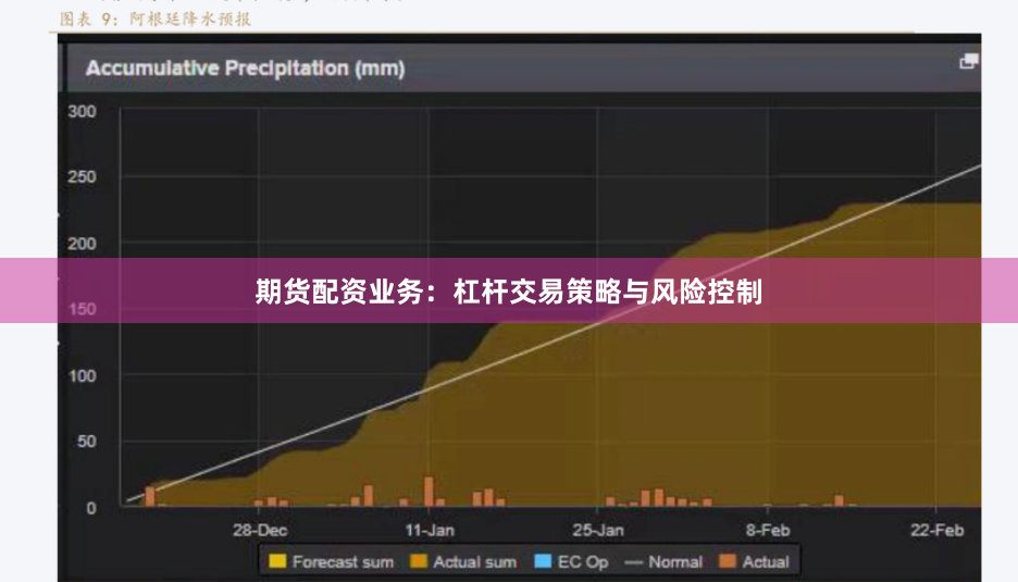 期货配资业务：杠杆交易策略与风险控制