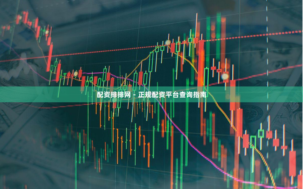 配资排排网 - 正规配资平台查询指南